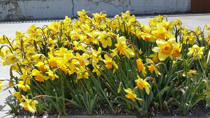 Galaxy S6 Edge+ ile muhteşem fotoğraflar 4 Galaxy S6 Edge muhteşem fotoğraflar
