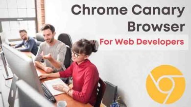 Google Chrome Android için Bu Özelliği Test Ediyor 12 Google Canary yeni test sızıntısı